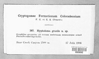 Image Associated With the Occurence